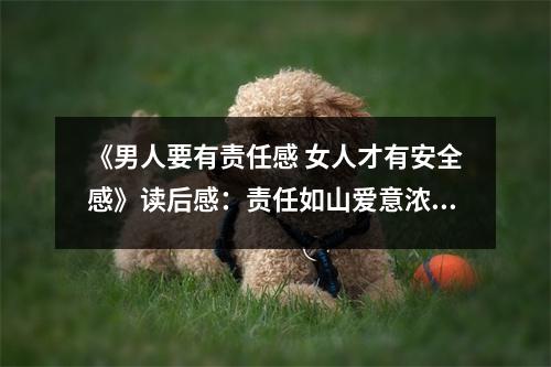 《男人要有責(zé)任感 女人才有安全感》讀后感：責(zé)任如山愛意濃 (950字)