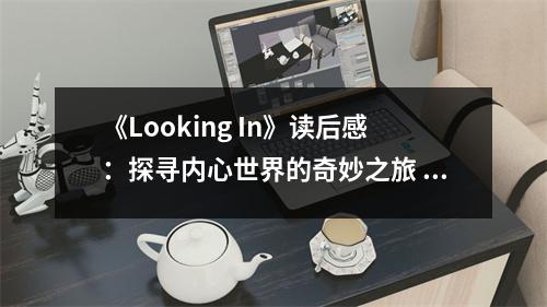 《Looking In》讀后感：探尋內(nèi)心世界的奇妙之旅 (800字)