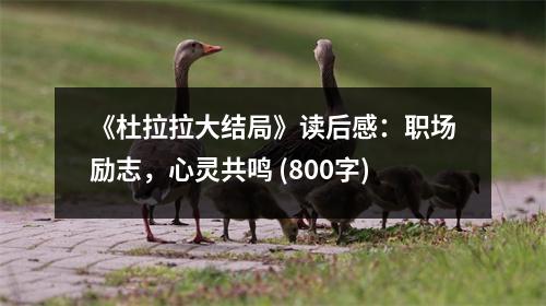 《杜拉拉大結(jié)局》讀后感：職場(chǎng)勵(lì)志，心靈共鳴 (800字)