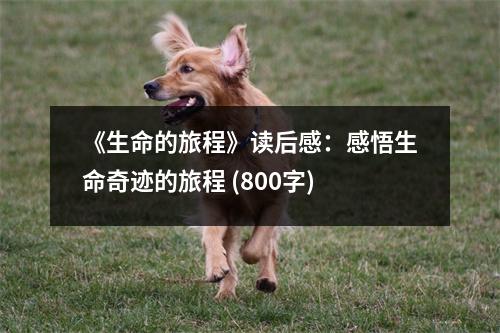 《生命的旅程》讀后感：感悟生命奇跡的旅程 (800字)