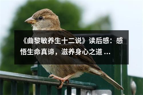《曲黎敏養(yǎng)生十二說(shuō)》讀后感：感悟生命真諦，滋養(yǎng)身心之道 (800字)