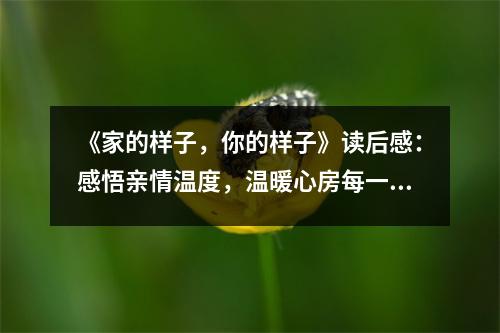 《家的樣子，你的樣子》讀后感：感悟親情溫度，溫暖心房每一寸 (900字)
