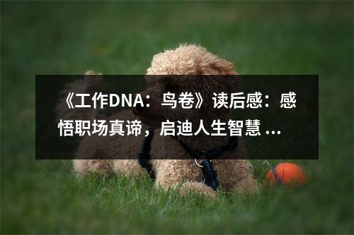 《工作DNA：鳥卷》讀后感：感悟職場真諦，啟迪人生智慧 (850字)
