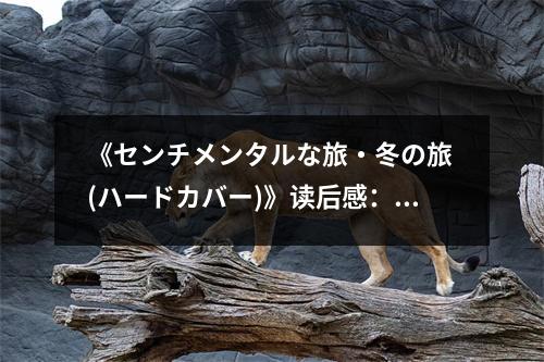 《センチメンタルな旅?冬の旅 (ハードカバー)》讀后感：心隨雪落共遠(yuǎn)行 (700字)