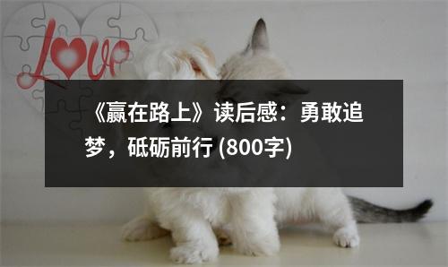 《贏在路上》讀后感：勇敢追夢，砥礪前行 (800字)