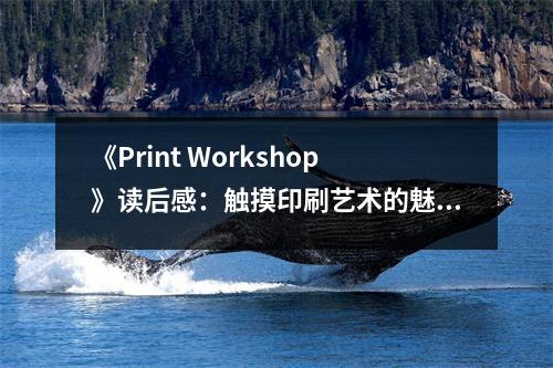 《Print Workshop》讀后感：觸摸印刷藝術(shù)的魅力 (750字)