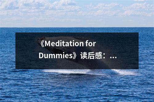 《Meditation for Dummies》讀后感：心靈之旅，遇見更好的自己 (750字)