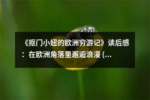 《摳門(mén)小妞的歐洲窮游記》讀后感：在歐洲角落里邂逅浪漫 (1000字)
