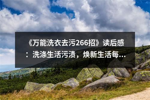 《萬(wàn)能洗衣去污266招》讀后感：洗滌生活污漬，煥新生活每一刻 (950字)
