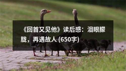 《回首又見他》讀后感：淚眼朦朧，再遇故人 (650字)