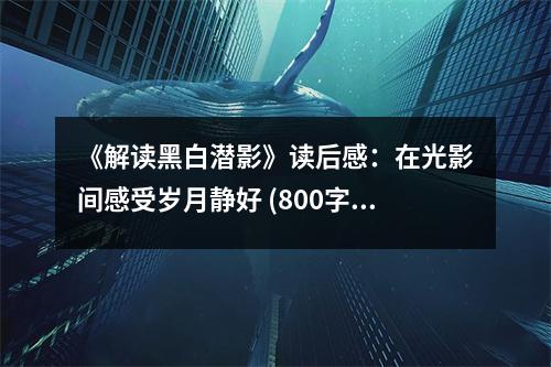 《解讀黑白潛影》讀后感：在光影間感受歲月靜好 (800字)