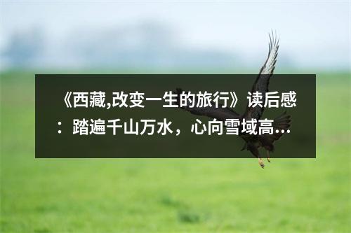 《西藏,改變一生的旅行》讀后感：踏遍千山萬水，心向雪域高原 (750字)