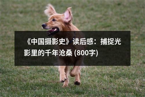 《中國攝影史》讀后感：捕捉光影里的千年滄桑 (800字)