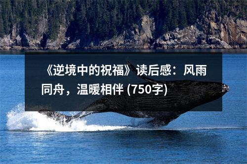 《逆境中的祝福》讀后感：風(fēng)雨同舟，溫暖相伴 (750字)