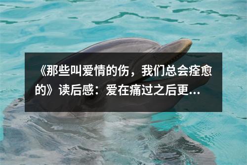 《那些叫愛情的傷，我們總會痊愈的》讀后感：愛在痛過之后更顯珍貴 (700字)