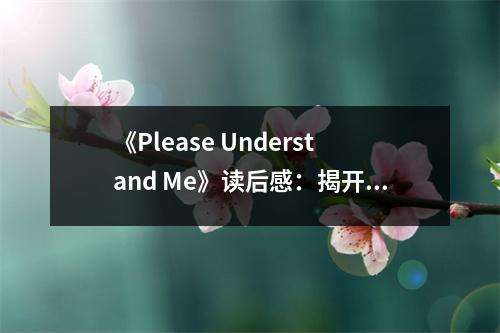 《Please Understand Me》讀后感：揭開性格密碼的奇妙之旅 (800字)