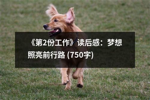 《第2份工作》讀后感：夢想照亮前行路 (750字)