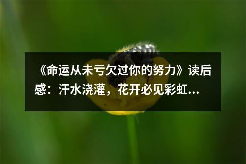 《命運(yùn)從未虧欠過(guò)你的努力》讀后感：汗水澆灌，花開必見彩虹 (1200字)