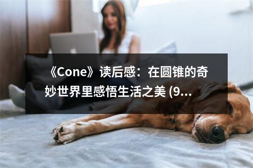 《Cone》讀后感：在圓錐的奇妙世界里感悟生活之美 (900字)