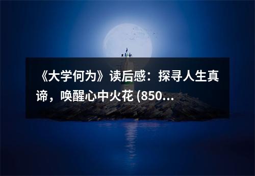 《大學(xué)何為》讀后感：探尋人生真諦，喚醒心中火花 (850字)