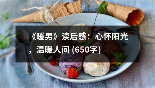 《暖男》讀后感：心懷陽光，溫暖人間 (650字)