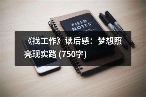 《找工作》讀后感：夢想照亮現(xiàn)實(shí)路 (750字)
