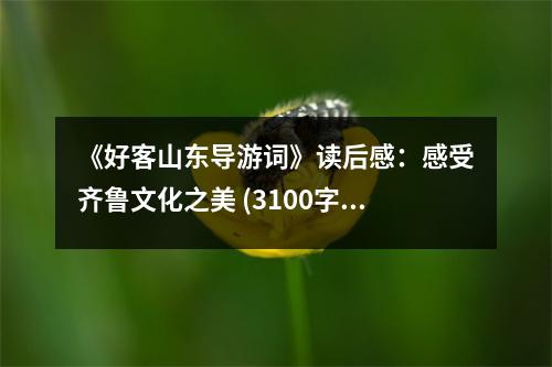 《好客山東導(dǎo)游詞》讀后感：感受齊魯文化之美 (3100字)