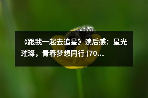 《跟我一起去追星》讀后感：星光璀璨，青春夢想同行 (700字)
