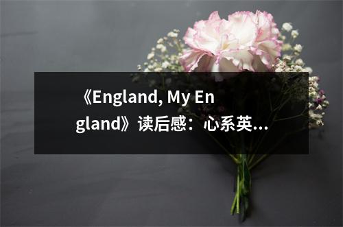 《England, My England》讀后感：心系英格蘭的熾熱情懷 (750字)