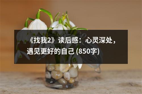 《找我2》讀后感：心靈深處，遇見更好的自己 (850字)