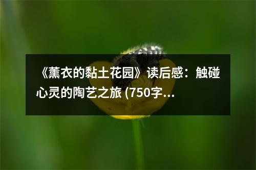 《薰衣的黏土花園》讀后感：觸碰心靈的陶藝之旅 (750字)