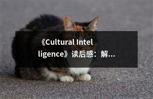 《Cultural Intelligence》讀后感：解碼多元文化的智慧之光 (700字)