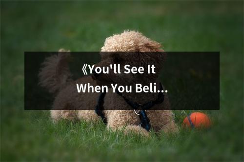 《You'll See It When You Believe It》讀后感：信念照亮前行的路 (750字)