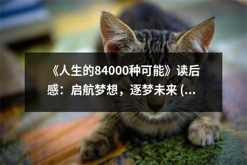 《人生的84000種可能》讀后感：啟航夢想，逐夢未來 (1050字)