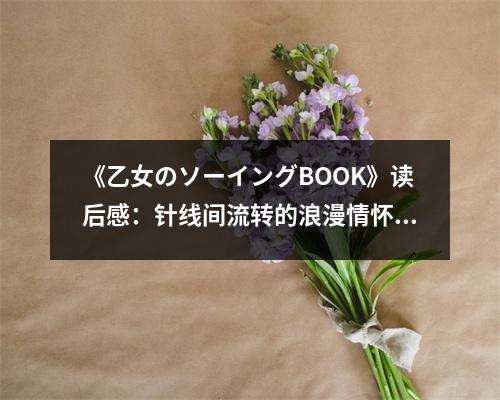 《乙女のソーイングBOOK》讀后感：針線間流轉(zhuǎn)的浪漫情懷 (850字)