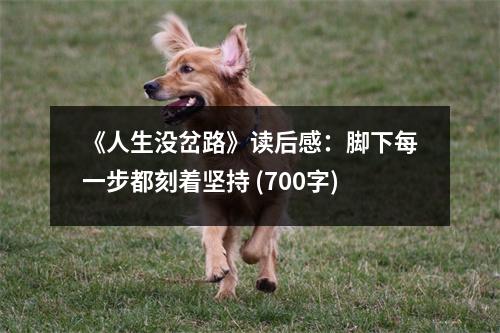 《人生沒岔路》讀后感：腳下每一步都刻著堅(jiān)持 (700字)