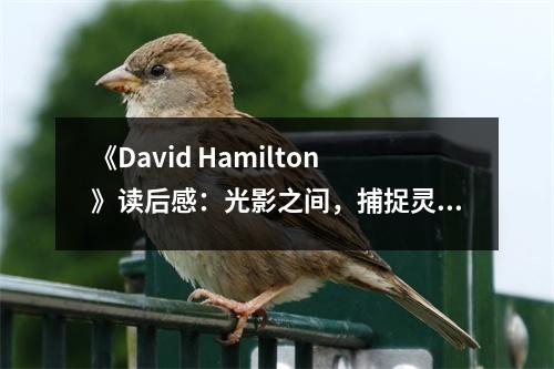 《David Hamilton》讀后感：光影之間，捕捉靈魂之美 (800字)