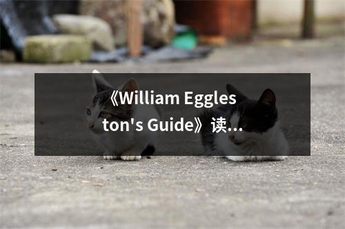 《William Eggleston's Guide》讀后感：捕捉平凡之美，感悟生活真諦 (1000字)