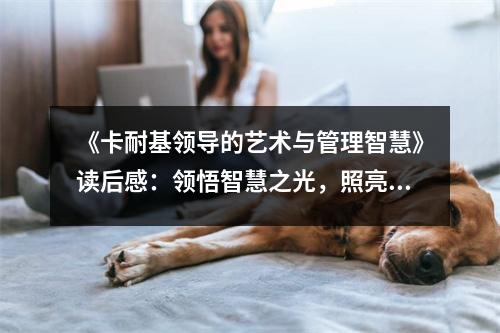《卡耐基領(lǐng)導(dǎo)的藝術(shù)與管理智慧》讀后感：領(lǐng)悟智慧之光，照亮前行之路 (900字)