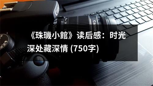 《珠璣小館》讀后感：時光深處藏深情 (750字)