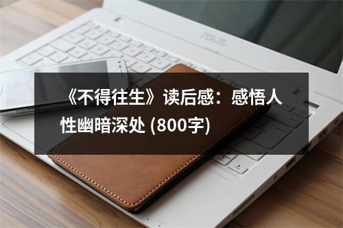 《不得往生》讀后感：感悟人性幽暗深處 (800字)