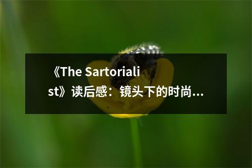 《The Sartorialist》讀后感：鏡頭下的時(shí)尚傳奇，喚醒沉睡的審美細(xì)胞 (950字)
