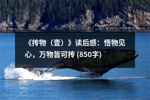 《摶物（壹）》讀后感：悟物見心，萬物皆可摶 (850字)