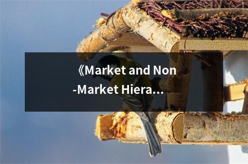 《Market and Non-Market Hierarchies》讀后感：揭示商業(yè)與非商業(yè)世界的奧秘 (1200字)