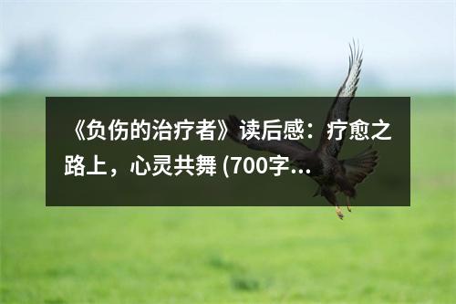 《負(fù)傷的治療者》讀后感：療愈之路上，心靈共舞 (700字)