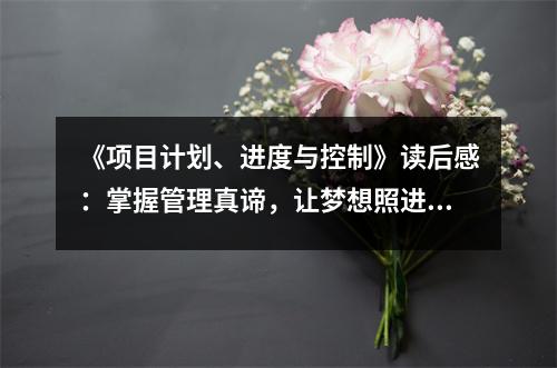 《項目計劃、進(jìn)度與控制》讀后感：掌握管理真諦，讓夢想照進(jìn)現(xiàn)實 (950字)