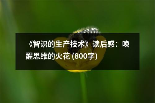 《智識(shí)的生產(chǎn)技術(shù)》讀后感：?jiǎn)拘阉季S的火花 (800字)