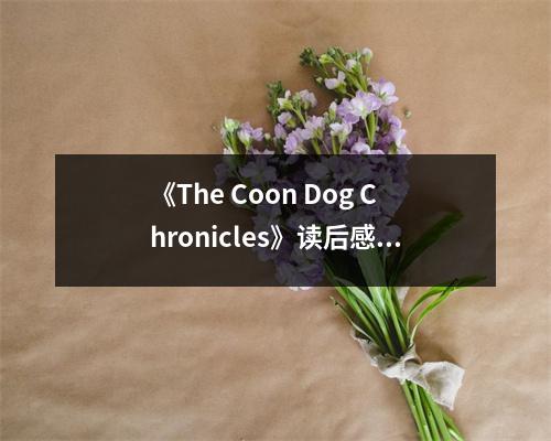 《The Coon Dog Chronicles》讀后感：忠誠犬影伴我行 (850字)