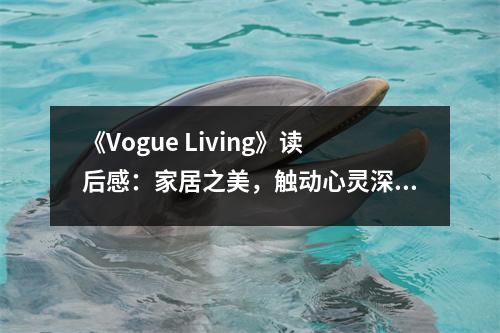 《Vogue Living》讀后感：家居之美，觸動心靈深處 (750字)