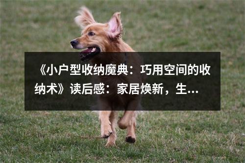 《小戶型收納魔典：巧用空間的收納術(shù)》讀后感：家居煥新，生活如詩 (700字)
